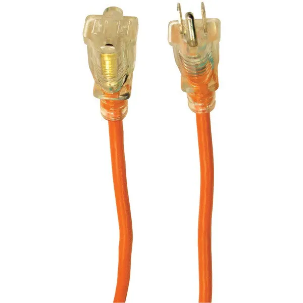 AXIS 45509 1-Outlet Indoor-Outdoor Workshop Extension Cord (50ft)